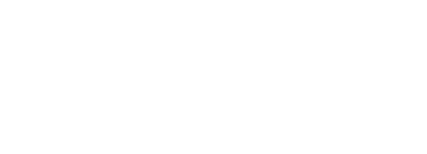 2025ベトナムフェスティバル in 愛知名古屋